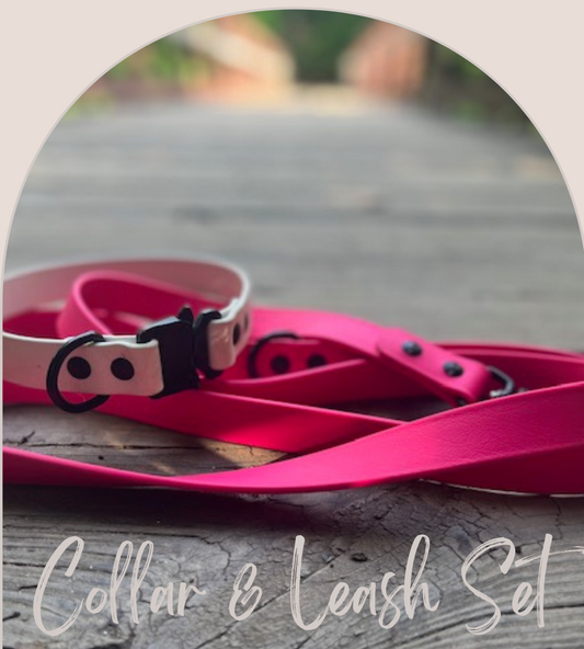 Collar & Leash Set